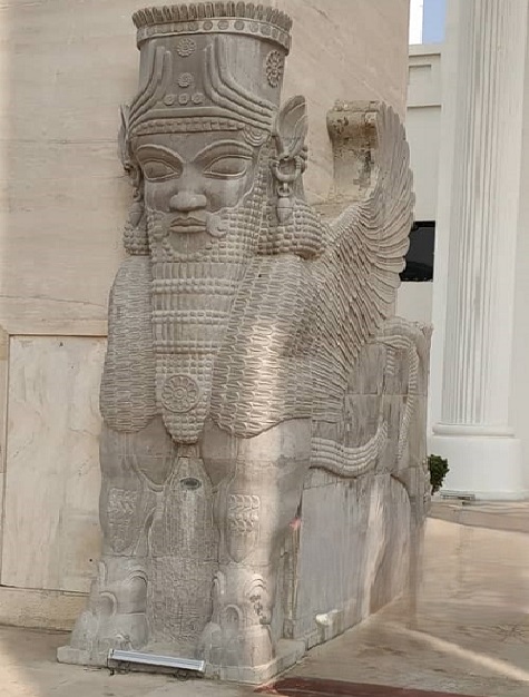 گاو بالدار یا لاماسو 